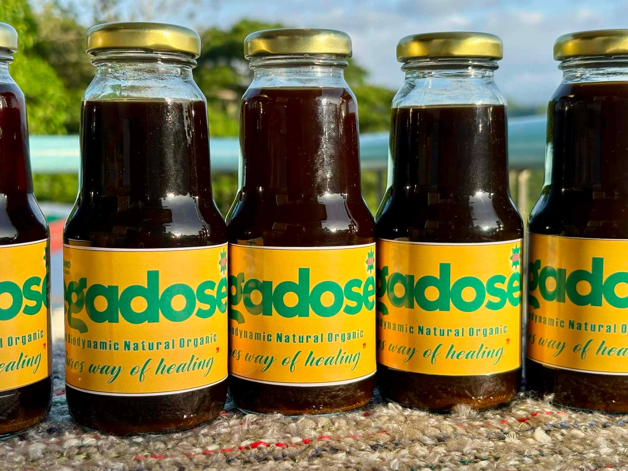 OREGA-DOSE: THE POWER OF OREGANO IN A BOTTLE